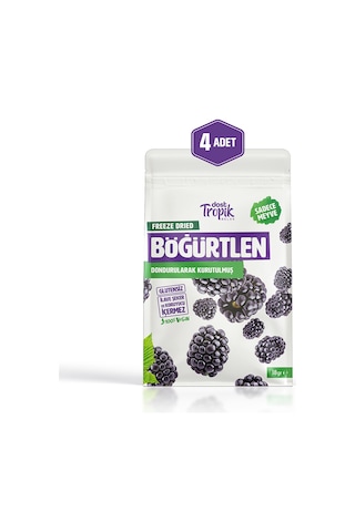 Dondurularak Kurutulmuş Böğürtlen 18 G Freeze Dried Meyve Cipsi Çıtır Meyve Kurusu 4 Adet