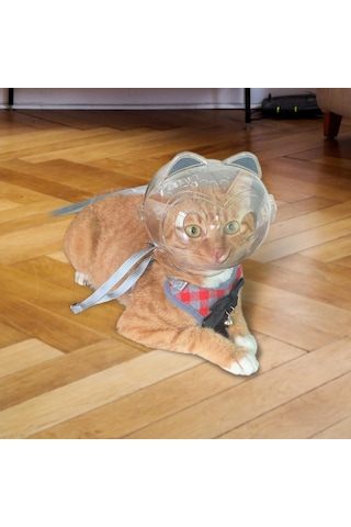 Homyl Namlu Tırnak Kırpma Kısıtlama Açık Görünüm Anti