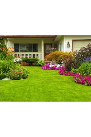 Lippa Çim Tohumu Norden 4üü Karışım İthal