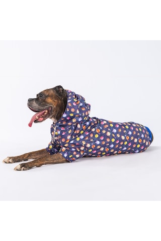 Pawstar Planetfood Orta ve Büyük Irk Köpek Tulum Yağmurluğu
