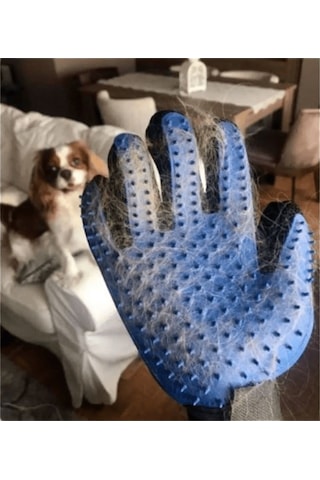 Pribor Köpek Ve Kedi Saç Tüy Toplama Temizleme Eldiveni Yapışkanlı Tarama
