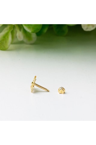 Bilezikci 14 Ayar Altın Yengeç Tragus Küpe Kphsy14k22508