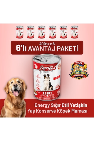 Energy Sığır Etli Yetişkin Yaş Köpek Maması 400 G - 6 Adet