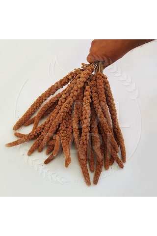 Kızıl Dal Darı 2 KG