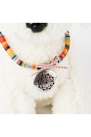 Homyl 2 Adet Evcil Hayvan Tasması Ayarlanabilir Güvenlik M Çok Renkli