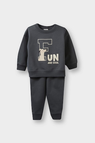 Defacto Erkek Bebek 2li Takım Baskılı Sweatshirt Eşofman Altı E8994a525augr164 Gri