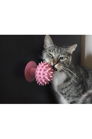 Pureysma  Kedi Kaşıma Oyuncağı Pembe Renk Tımar Catn Pembe