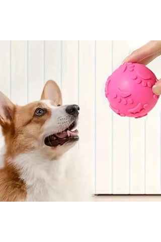 Zensaas41 Pati Desenli Köpek Isırma Topu Zensaa56