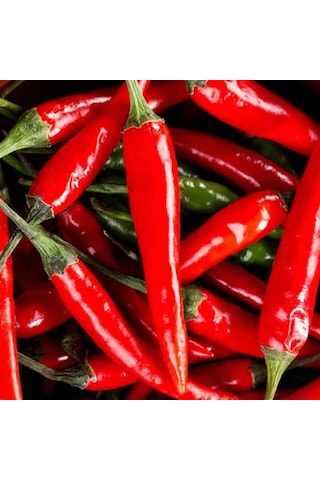 Ata Tohum Geleneksel Malagueta Chili Acı Biber Tohumu 10 Tohum