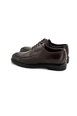 Brown Morus
