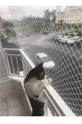 2x4 Metre Kedi Filesi Balkon Filesi Sık Dokuma Kalın Kuş Filesi 2