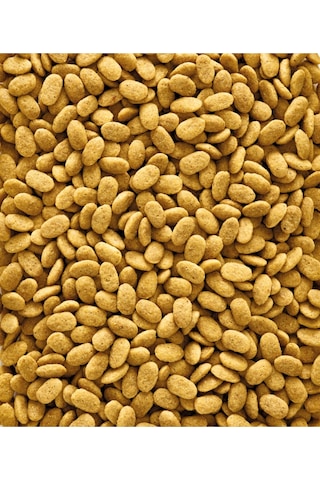 Versele Laga Nutribird P19 Pelet Papağan Yemi 1 KG Açik