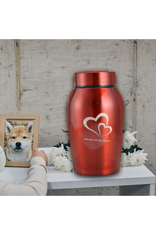 Homyl Köpekler Kediler Küller Gevşek Anıt Evcil Kırmızı Altın