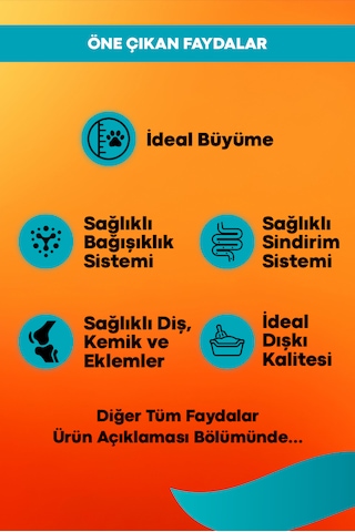 Midos Kuzu Ve Pirinçli Yavru Köpek Maması Büyüme 3 KG