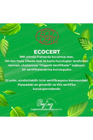 Organic Windy Valley Gurme Soğuk Sıkım Hurma Özü Cam 640 G