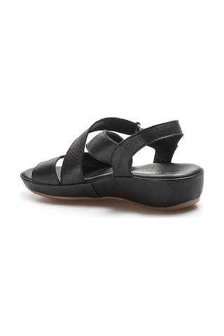 Fast Step Hakiki Deri Kadın Klasik Sandalet 864zar05 001
