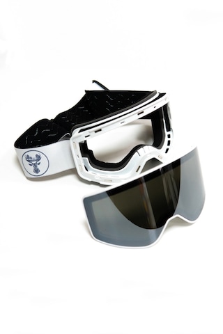 Profesyonel Kayak / Snowboard Gözlüğü Mıknatıslı Model Gri