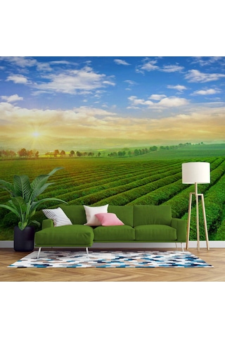 Çiçek Bahçesi Manzaralı Duvar Kağıdı Baskı 1 M²