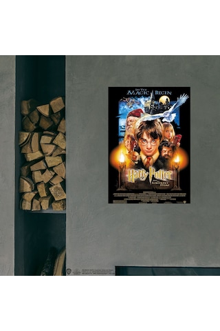 Harry Potter And The Sorcerer S Stone 50x70 Cm Poster