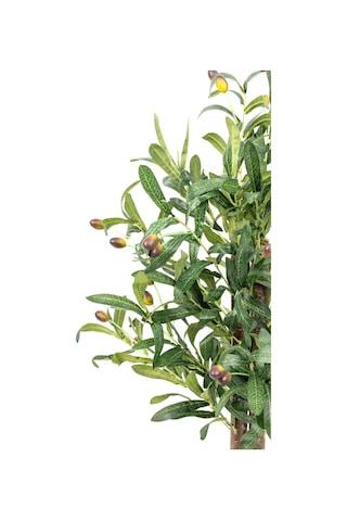 Yapay Çiçekçiniz Taş Detaylı Siyah Saksıda 60 Cm Yoğun Yapraklı Yapay Benjamin Ağacı Zeytin