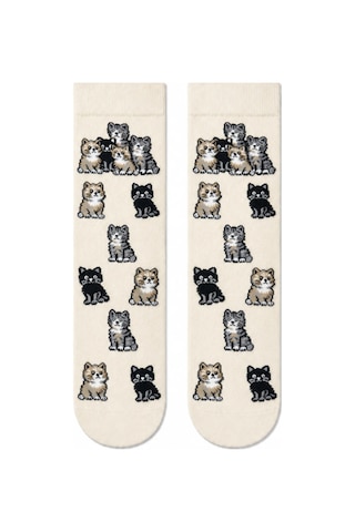 Carnaval Socks Eğlenceli Karışık Desenli 5'li Kutulu Çorap Seti 2000386