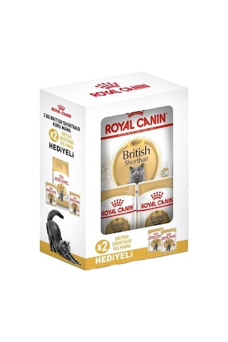 Royal Canin British Shorthair Hediye Kutulu Yetişkin Kedi Maması 2 KG