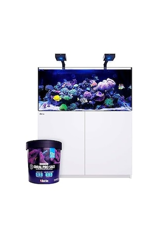 Yakıt Filtre Ventili M611