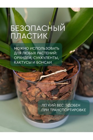 Elly Home Orkide İçin Büyük Şeffaf Saksı 171430255