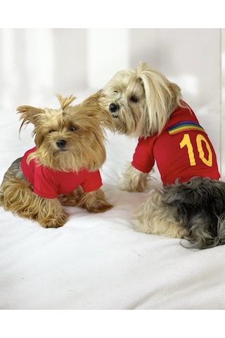 Kemique Uno Red Köpek Tişörtü