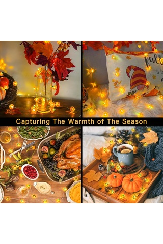 Pil İle Çalışan Balkabağı Işıkları, 16,4 Ft 50 Led Sonbahar Işıkları Dış Mekan Su Geçirmez, Turuncu Cadılar Bayramı Şükran Günü Işık Dizisi, İç Mekan Dekoru Çok Renkli