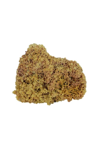 Heybeli Aktar Baharat Yerli Deniz Kadayıfı 500 Gr