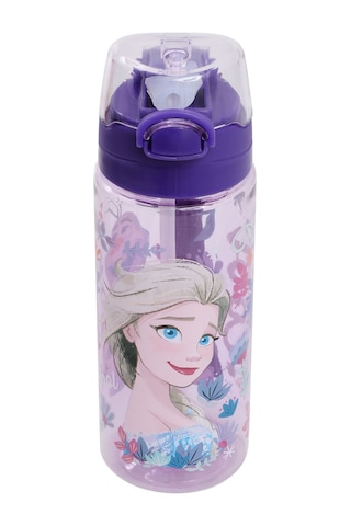 Frozen Frz Mtr Otto.45484 5pr Mor Kız Çocuk Matara 000000000102054260 Mor