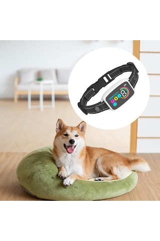 Suntek Köpek Küçük Orta Büyük Köpekler Için Şarj Beyaz