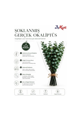 Şoklanmış Gerçek Okaliptüs Demeti Dekoratif Kuru Çiçek Vazo Ve Ev Ofis Dekoru Çok Renkli