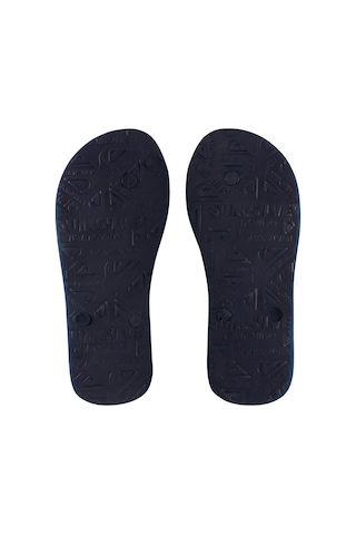 Quiksilver Molokaı Art Youth Mavi Mavi