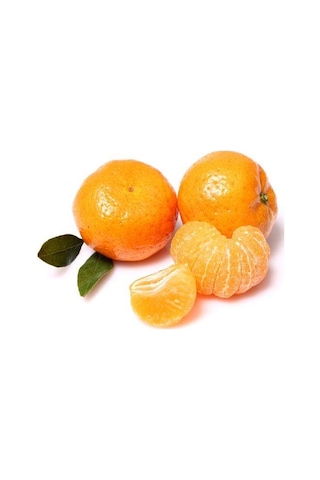Bodrum Mandalinası Fidanı
