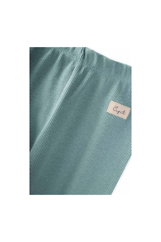 Cigit Tayt Pantolon 1-5 Yaş Mint Yeşili Mint Yeşili