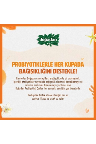 Doğadan Rooibos Vanilyalı Probiyotikli Poşet Çay 14'lü