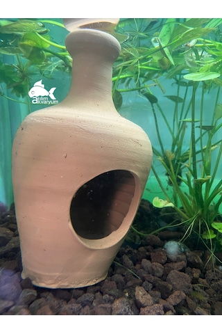 Atılım Akvaryum Delikli Anfora Akvaryum Yavruluğu Akvaryum Dekoru 22 CM