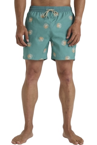 Bıllabong Billabong Vacay Lb Erkek Yeşil Volley Short Dut Mint