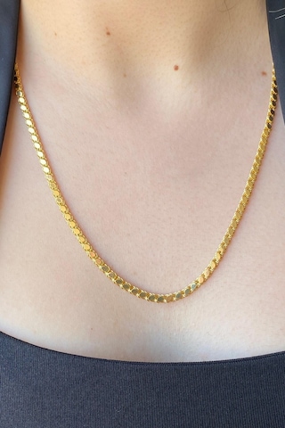 14 Ayar Altın 3 Mm Pullu Zincir Kolye