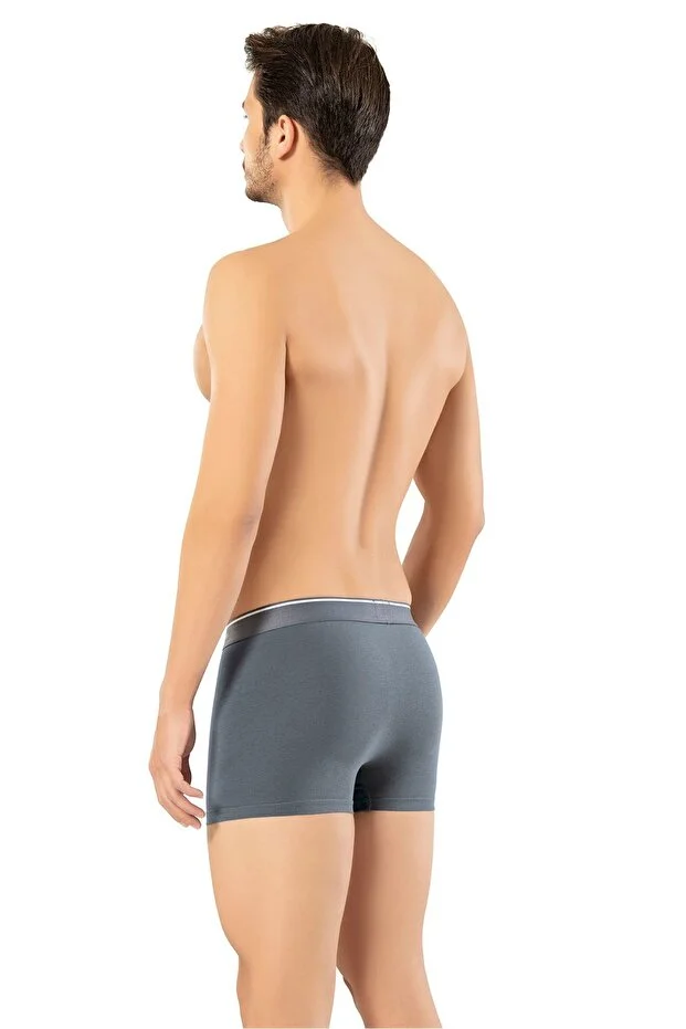 Erdem Erkek Füme Pamuk Klasik Boxer Kutulu- 1445f