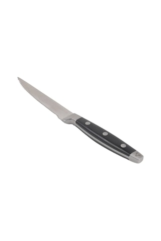 Abs Siyah Saplı Lüks Steak Bıçağı 21 Cm Siyah