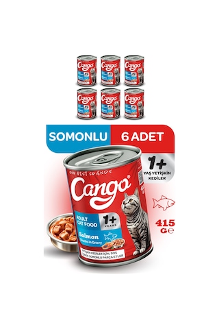 Cango Yetişkin Yaş Kedi Maması Somonlu 415gr 6lı