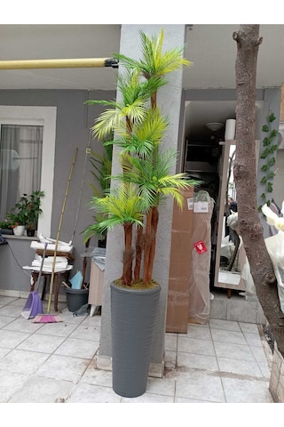 Dev Boy Areka Palmiye Ağacı 5 Gövde 45 Yaprak 240 Cm Ev Ve Ofis İçin Yapay Ağaç Kumsal Vazoda Antrasit
