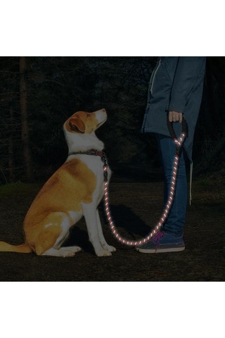 Technosmart Köpekler İçin Gezdirme Tasması Reflektörlü 130 Cm Halat Orta Ve Büyük Boy Köpekler İçin Kırmızı Genel