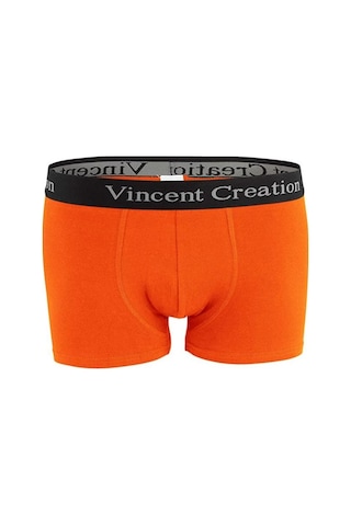 Alexander Gardi Alexandergardı 6'Lı Ekonomik Paket Erkek Boxer Seti Vincentcreation-02 001