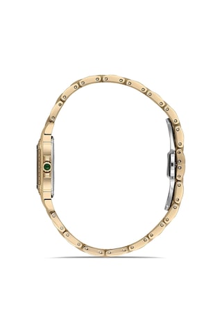 Pacomarine Kadın Kol Saati Pm.24505.03 Gold