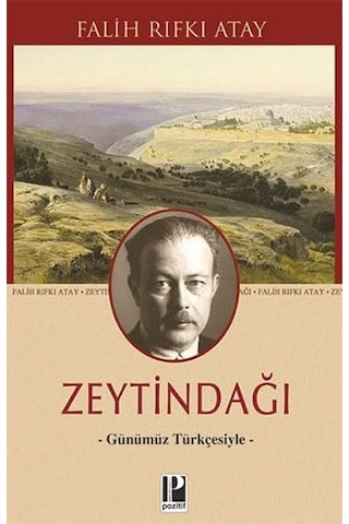 Bayan Ming'in Hiç Olmayan On Çocuğu + Beyaz Geceler: Hasan Ali Yücel Klasikler Dizisi + 5 Kitap Set