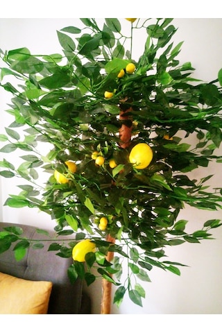 Yapay Sarı Limon Ağacı 1.70 Mt Boy Büyük Meyveli Gerçek Görünümlü